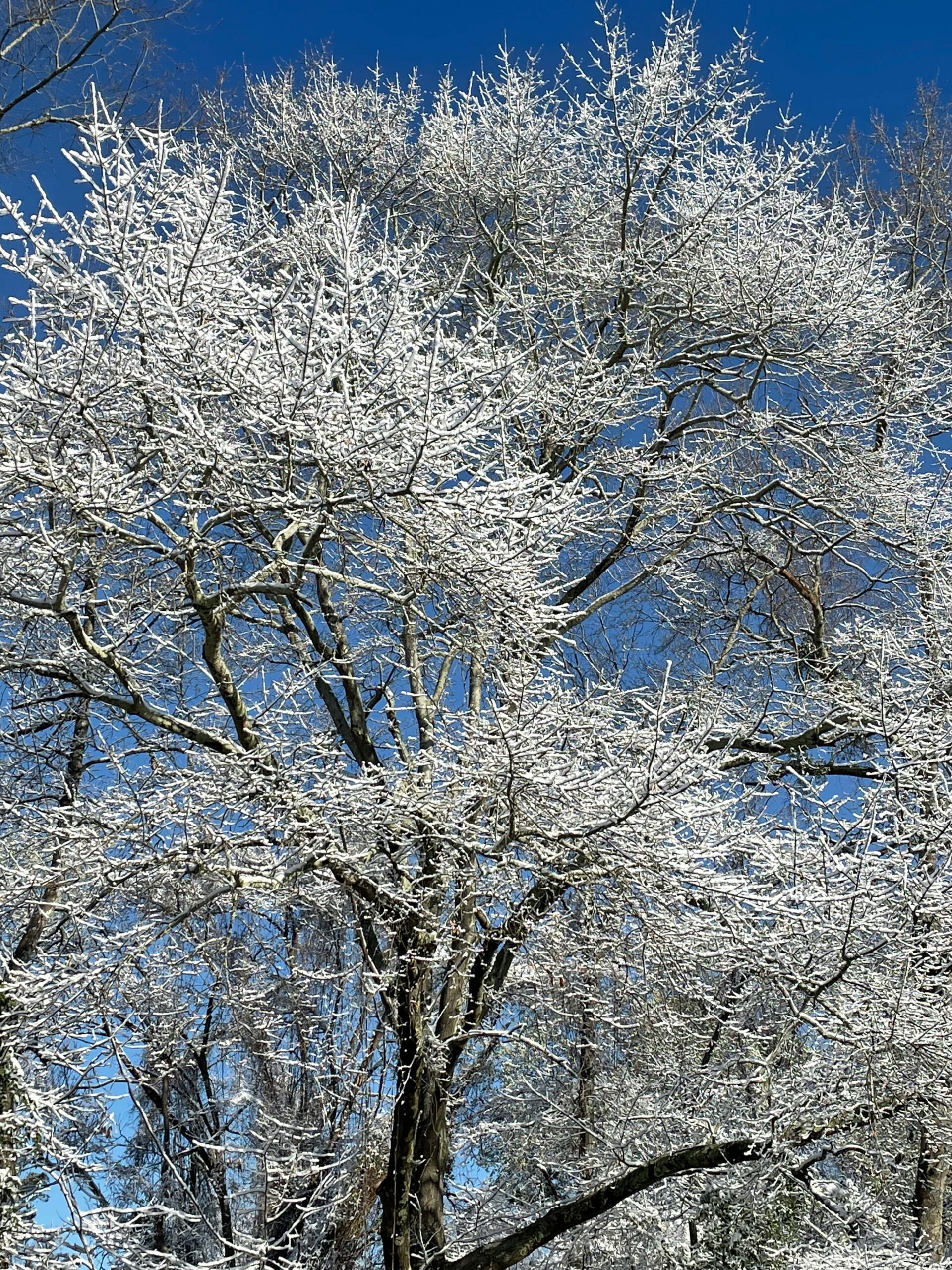 Agradeciendo con el corazón abierto