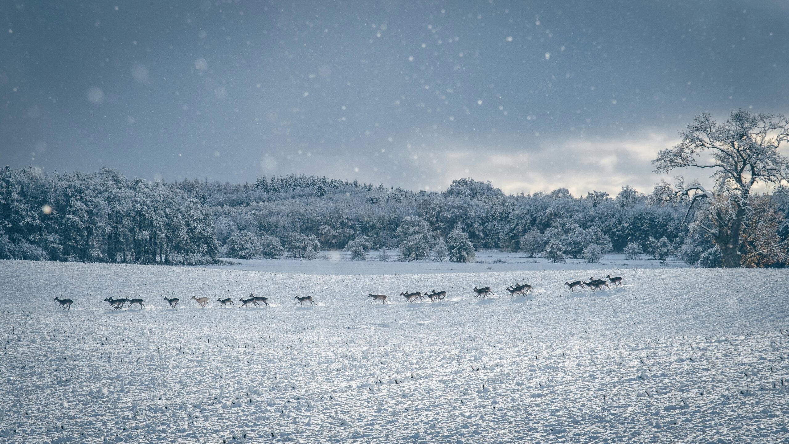 Honrar lo vivido y dar la bienvenida a lo que llega