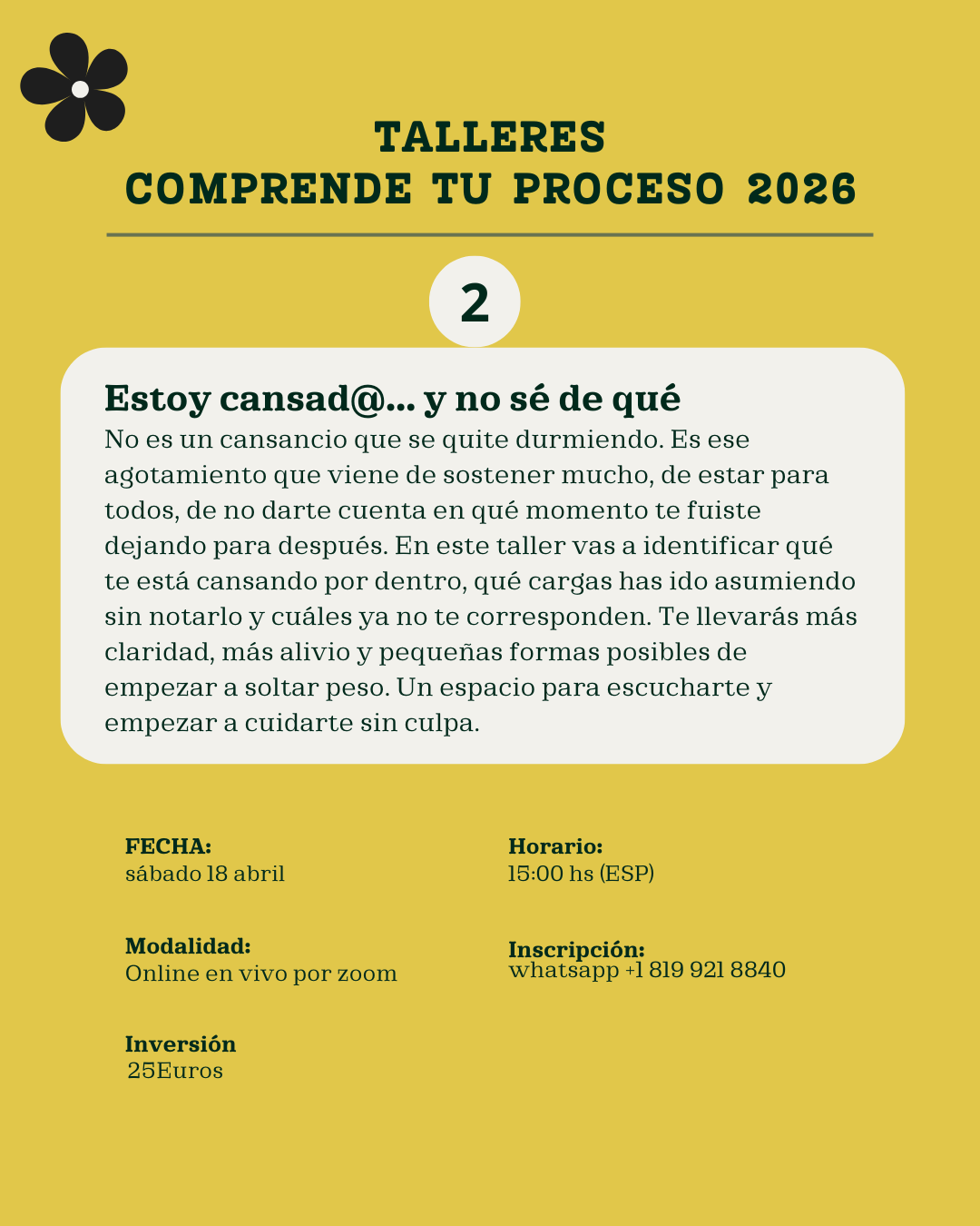 Talleres COMPRENDE TU PROCESO (5 talleres) - Imagen 3