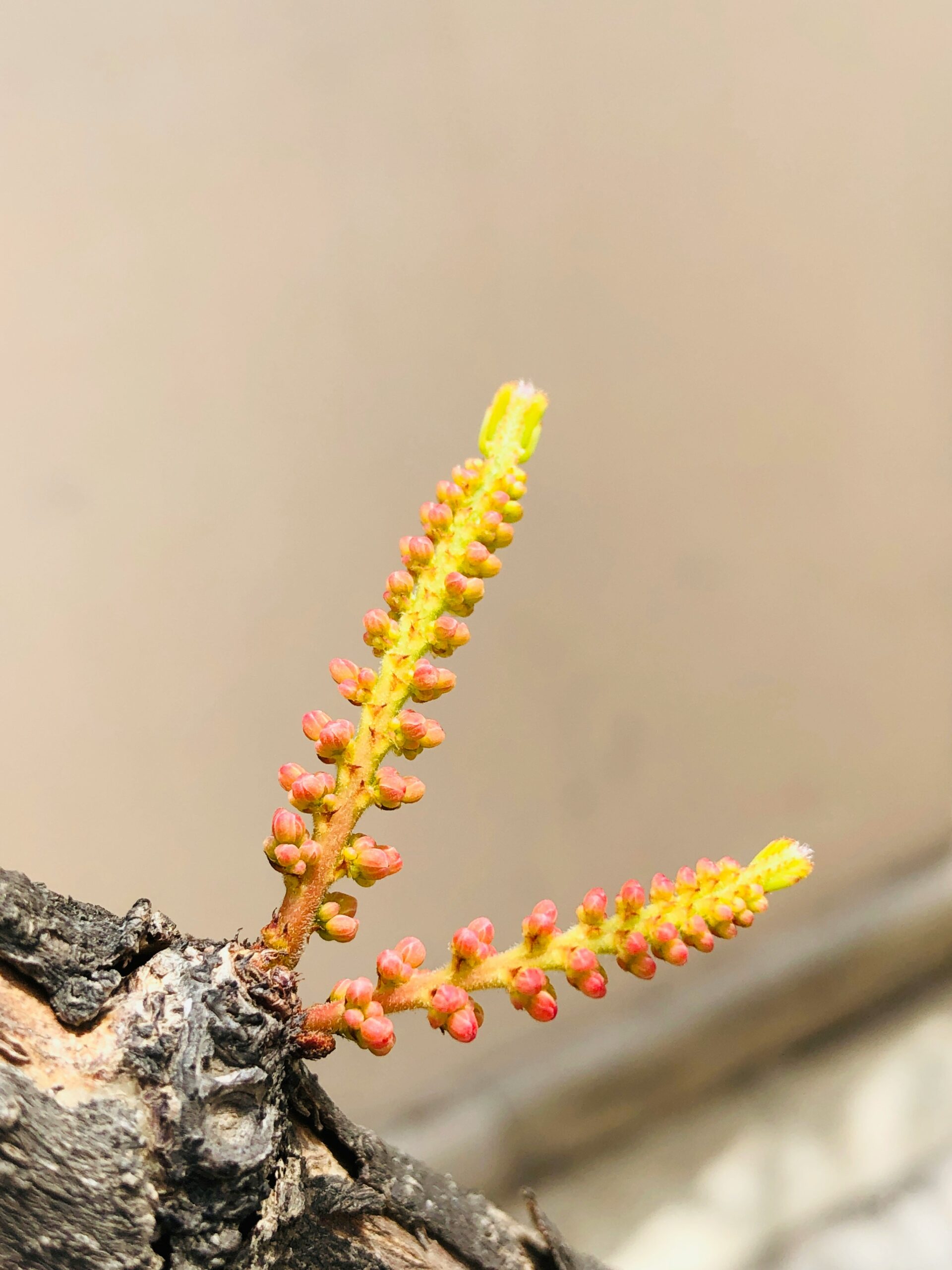 Pequeñas esperanzas que se encienden sin hacer ruido